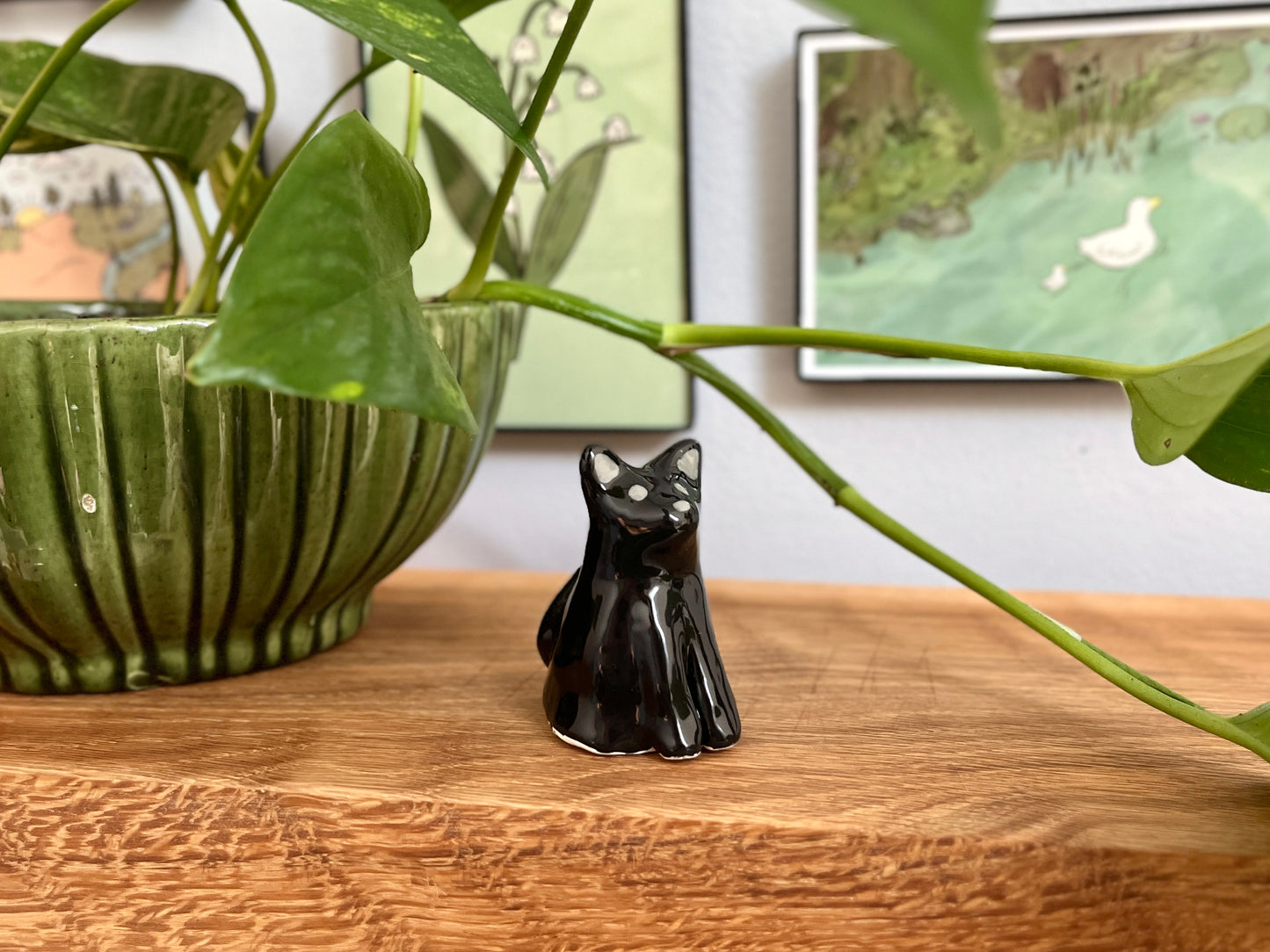Black Cat