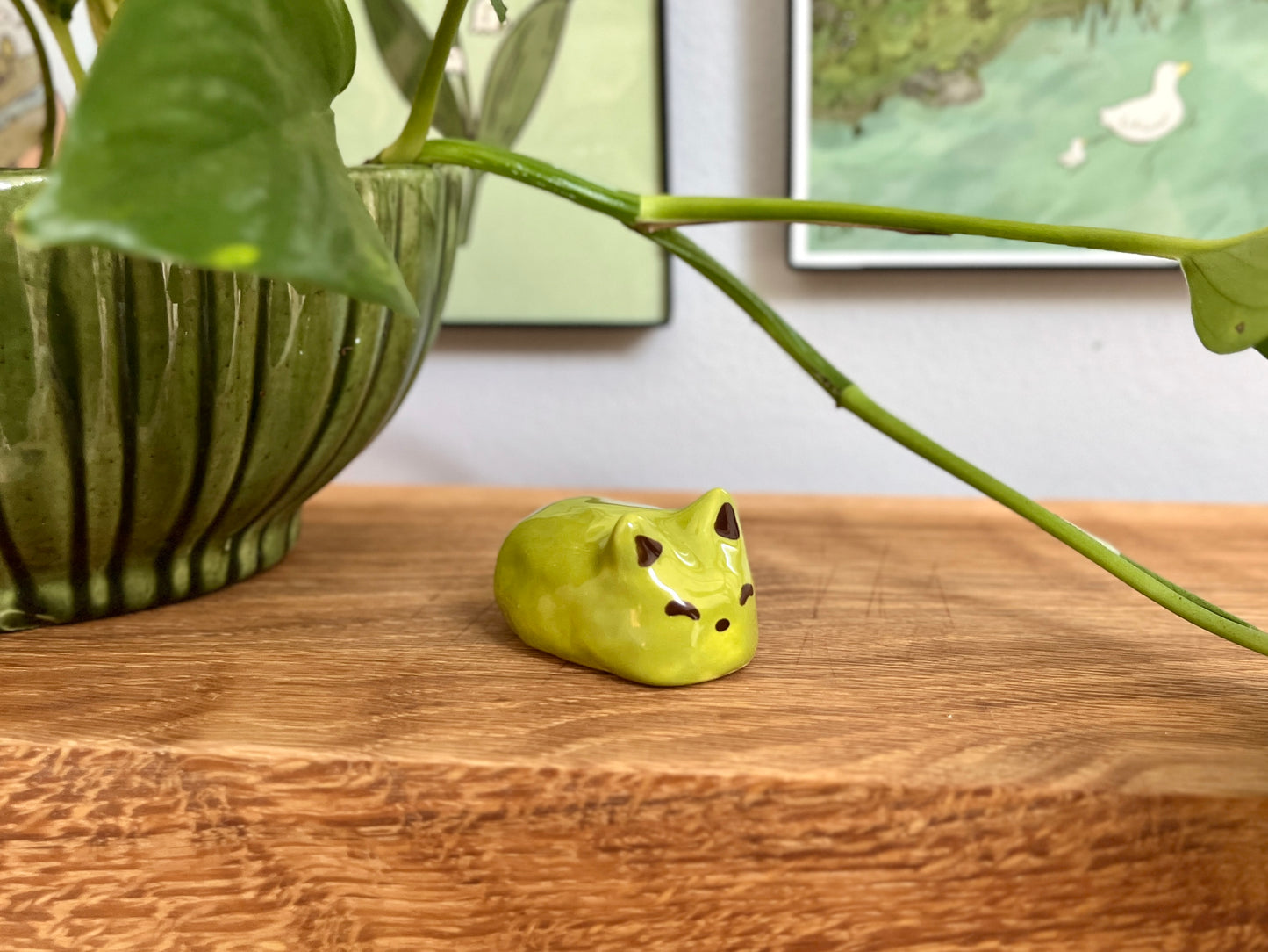 Moss Cat