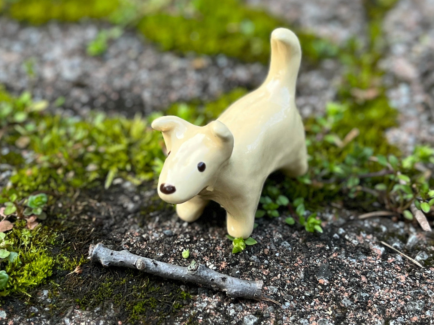 Butter Dog