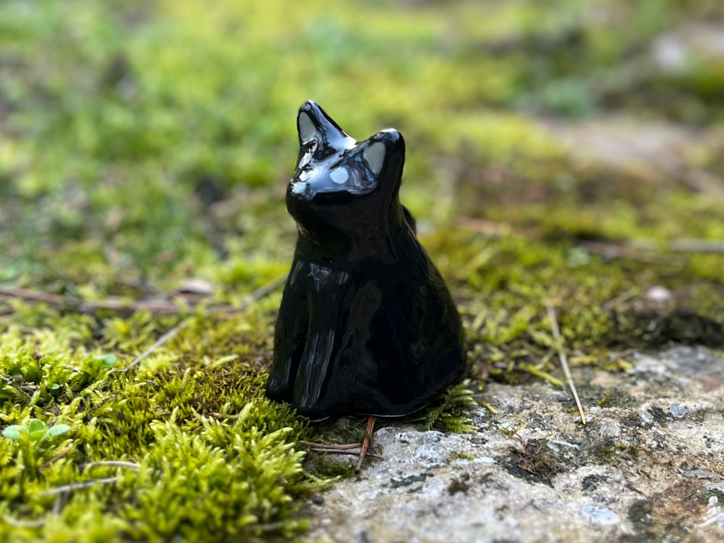 Black Cat