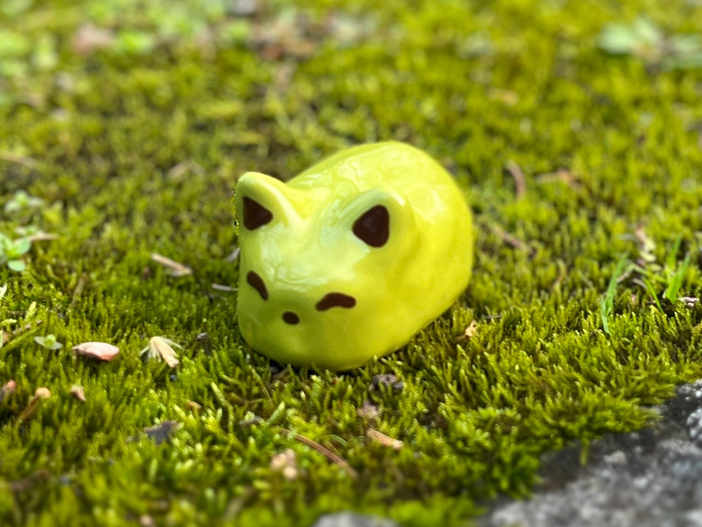 Moss Cat