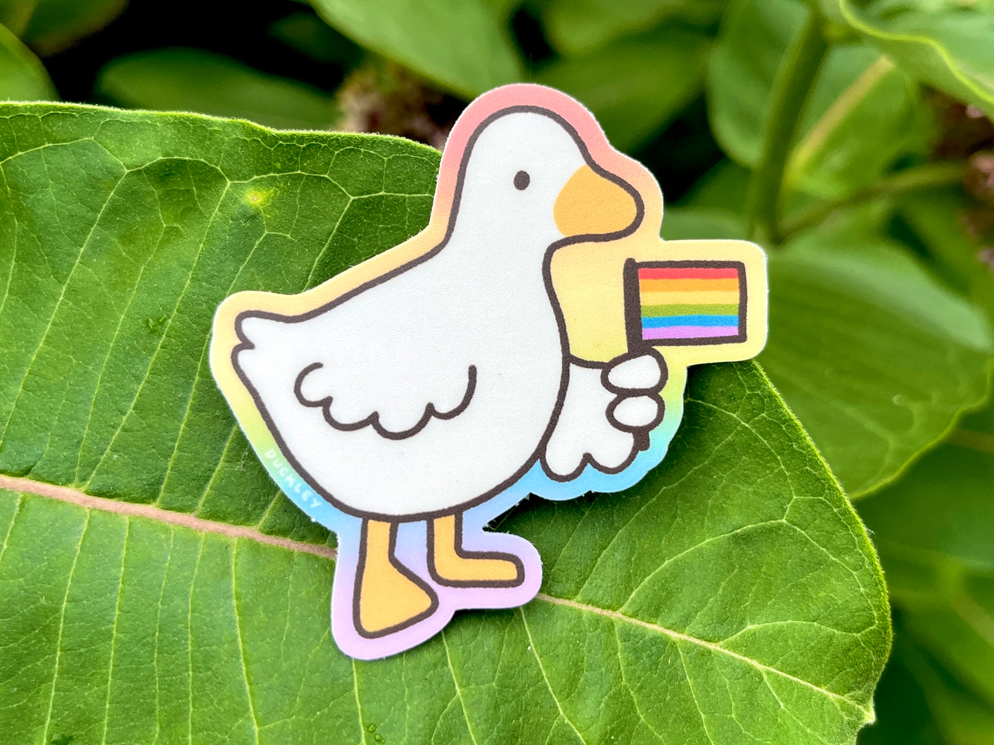 Pride Duck