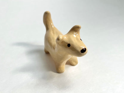 Butter Dog