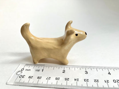 Butter Dog