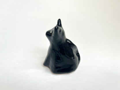 Black Cat