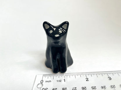 Black Cat