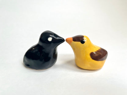Birds