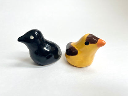Birds