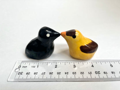 Birds