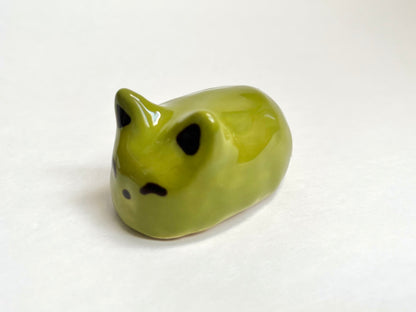 Moss Cat