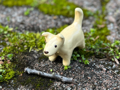Butter Dog