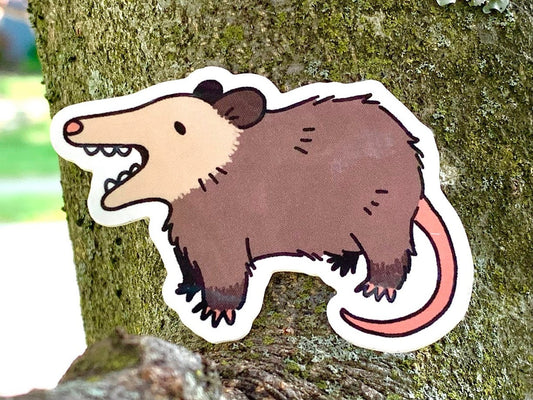 Possum Vinyl Sticker